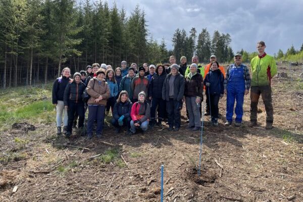 Teamfoto-gut-600x450